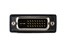 Picture of DVI to VGA M/M Cable - 10 ft