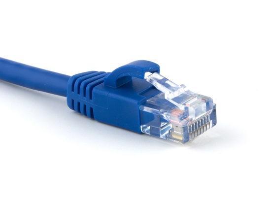 Picture of Blue Booted CAT5e Patch Cable - 1 ft