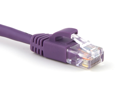 Picture of Purple Booted CAT5e Patch Cable - 1 ft