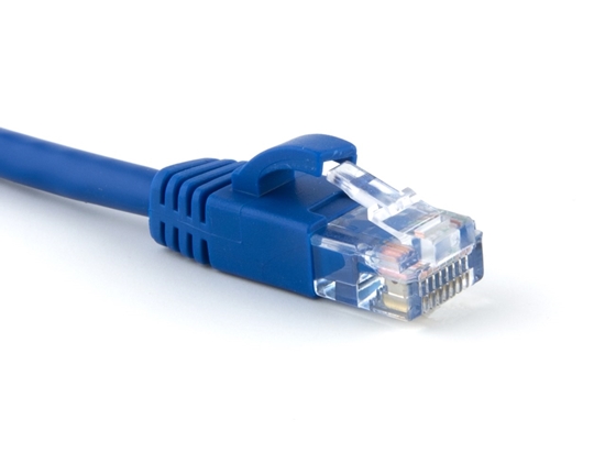 Picture of Blue Booted CAT5e Patch Cable - 4 ft