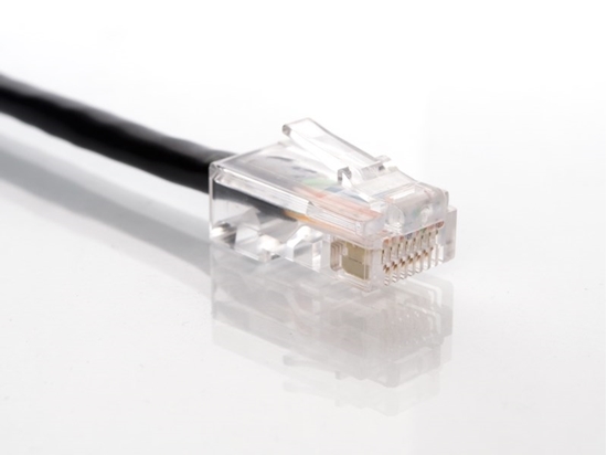 Picture of Black Assembled CAT5e Network Patch Cable - 50 ft