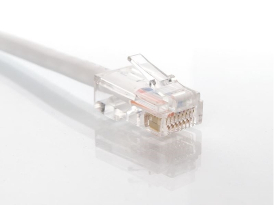 Picture of White Assembled CAT5e Network Patch Cable - 2 ft