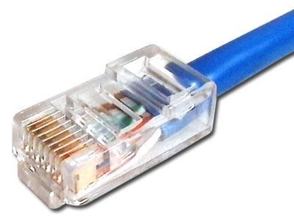 Picture of Blue Assembled CAT6 Network Patch Cable - 1 ft