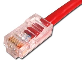 Picture of Red Assembled CAT6 Network Patch Cable - 1 ft