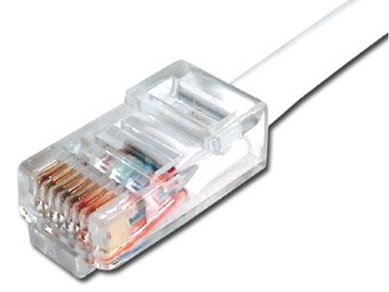 Picture of White Assembled CAT6 Network Patch Cable - 2 ft