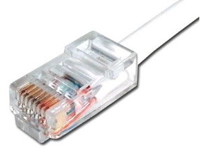 Picture of White Assembled CAT6 Network Patch Cable - 10 ft