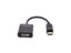 Picture of DVI-D to DisplayPort Video Adapter
