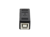 Picture of USB 2.0 Adapter - USB B Female to Female - 5 Pack