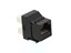 Picture of CAT6 SpeedTerm™ Keystone Jack 180 Degree 110 UTP - Black