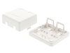 Picture of 2 Port Surface Mount Box - White