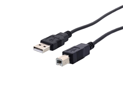 Picture of 10 FT USB 2.0 Cable - A to B M/M Black