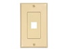 Picture of 1 Port Decorex Face Plate Insert - Ivory