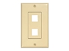 Picture of 2 Port Decorex Face Plate Insert - Ivory