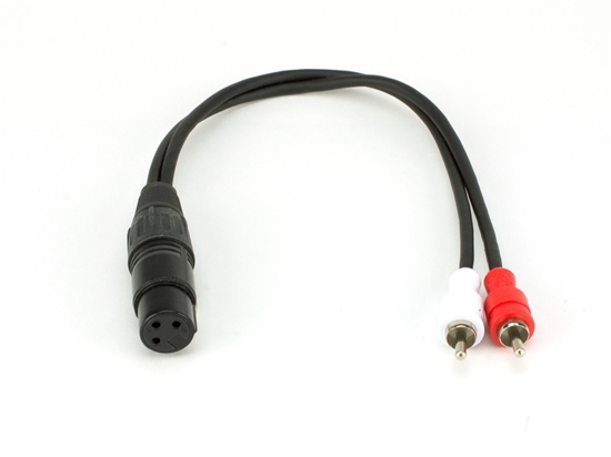 Picture of XLR Female to Two RCA Male Plugs - 1 FT